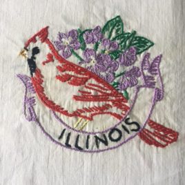 oiseau usa