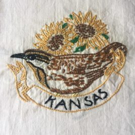 oiseau usa