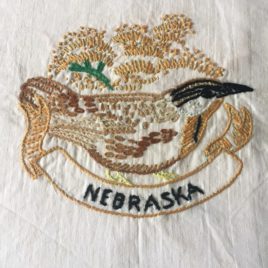 oiseau usa
