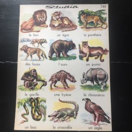 affiche animaux