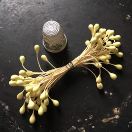 pistil jaune