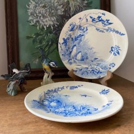 Oiseaux bleus