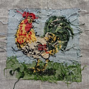 coq dos