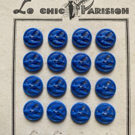 Hirondelle bleue