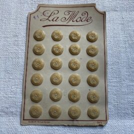 Fiore beige miel