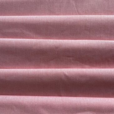 Chambray rose