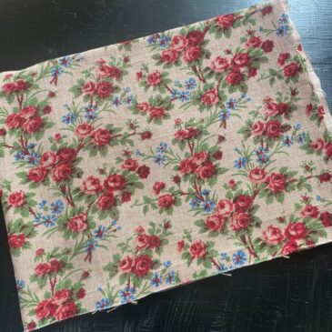 Roses et bleuets